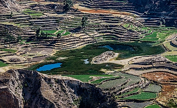 Cañón del Colca – Mirador Cruz del Cóndor – Viaje a Puno (Desayuno y Almuerzo)