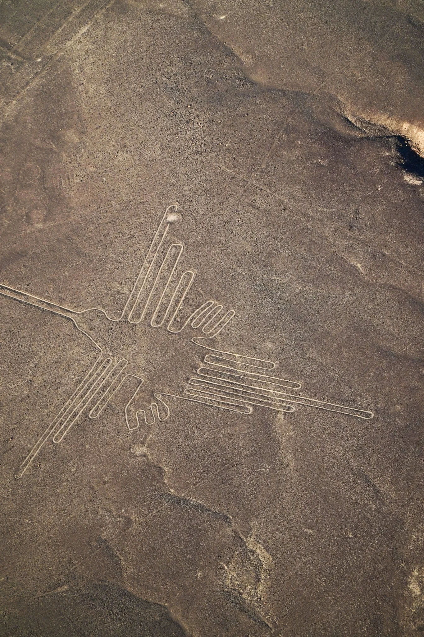 Nazca y Paracas con Machupicchu - Opción B